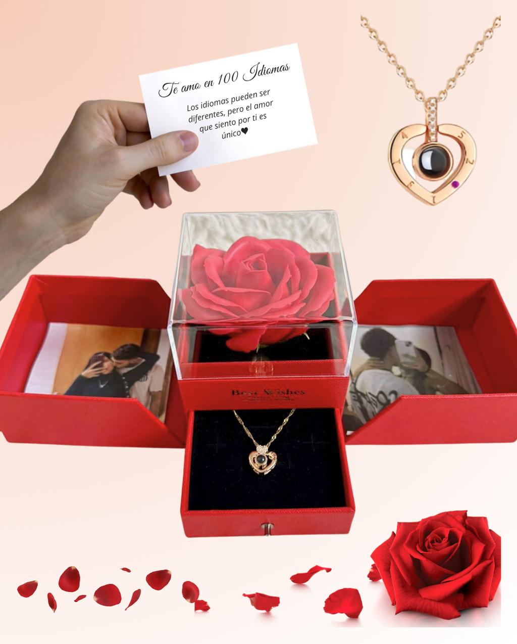 COLLAR TE AMO EN 100 IDIOMAS + COFRE DE ROSAS ETERNAS
