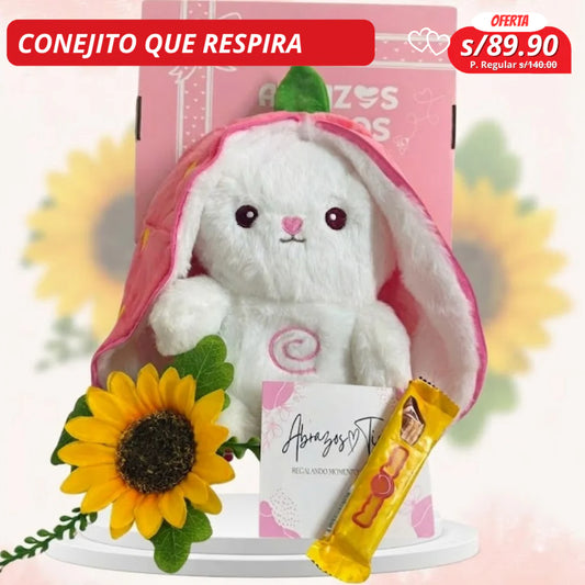 CONEJITO BONNY